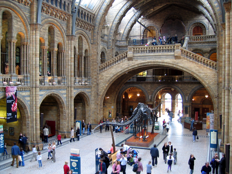 Natural History