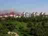 pic31.jpg