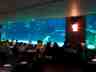 COEX_DeepBlue