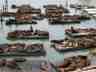 40sealions.jpg
